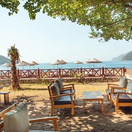 منتجع Eden And *