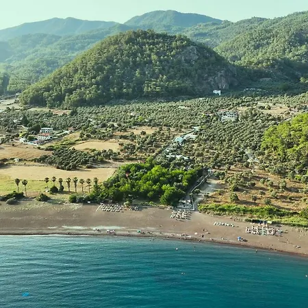 Θέρετρο Eden And *