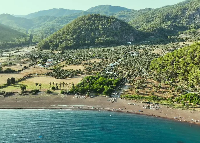 Resort Eden And *