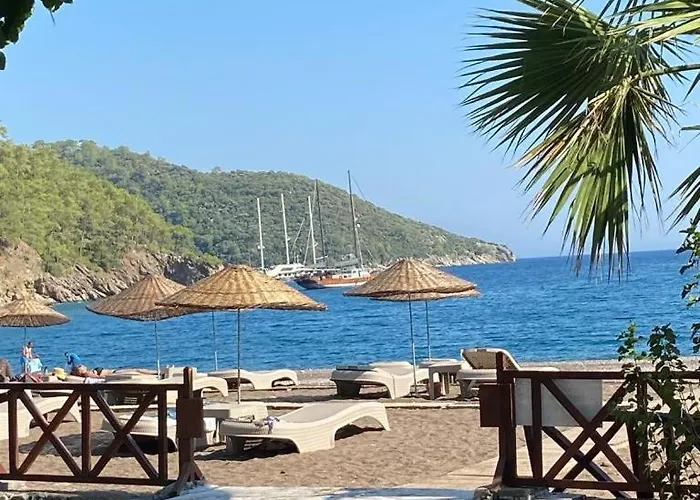 Resort Eden And *